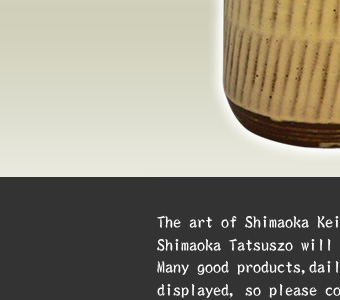 Kei Shimaoka art Display image