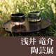 |W 䗳