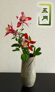 5月
