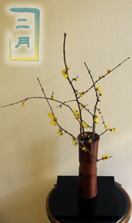 2月